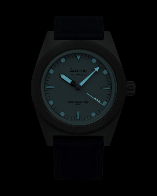 Arctic One of Ten lume shot in the dark